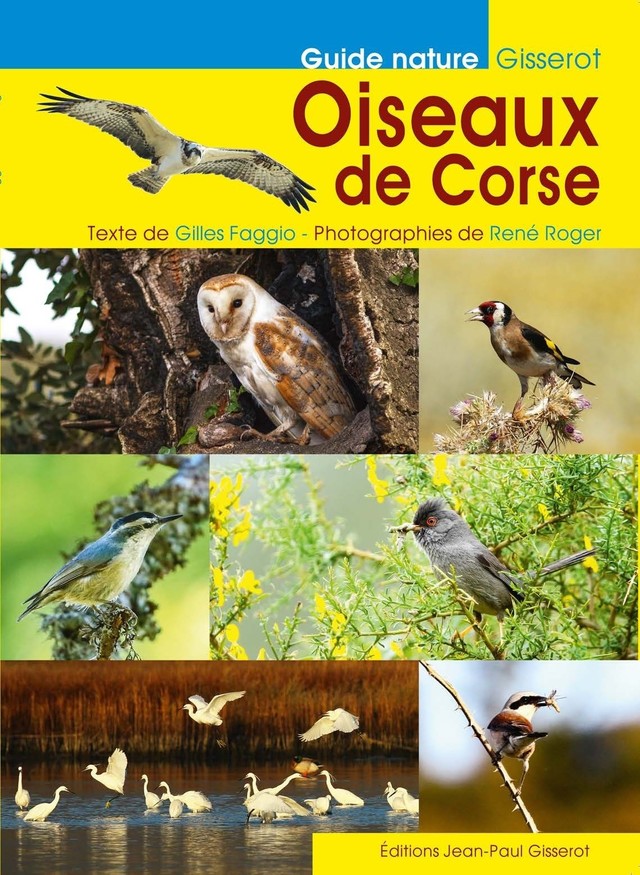 Oiseaux de Corse - Gilles Faggio - GISSEROT