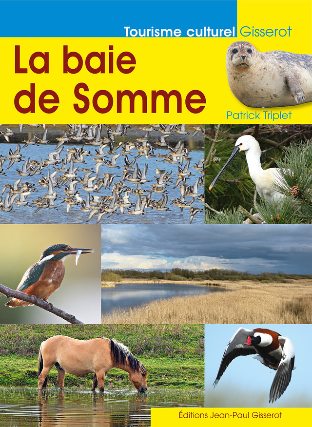 La baie de Somme - Patrick Triplet - GISSEROT