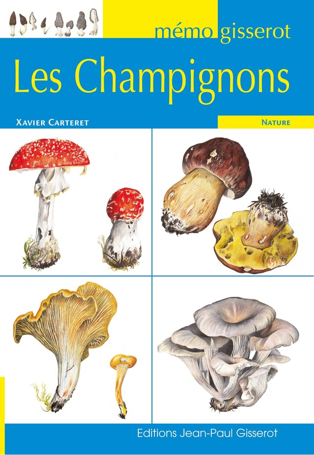 Mémo - Les champignons - Xavier Carteret - GISSEROT