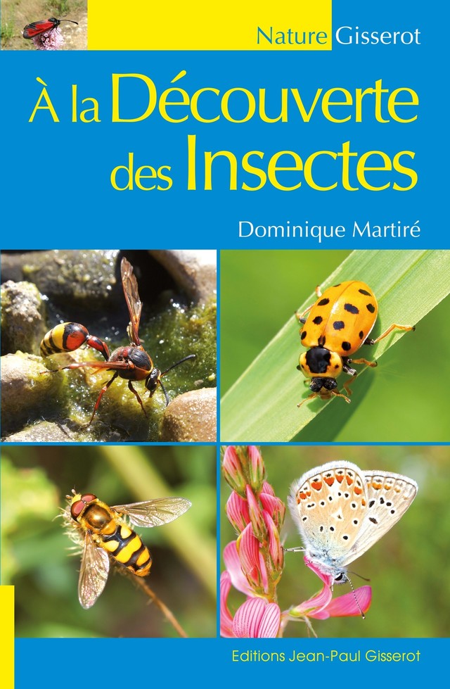 A la découverte des insectes - Dominique Martiré - GISSEROT