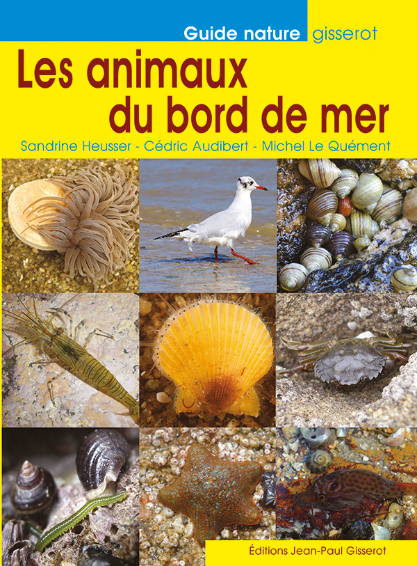 Les animaux du bord de mer - Sandrine Heusser, Michel Le Quément, Cédric Audibert - GISSEROT