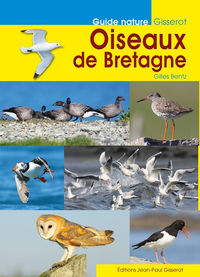 Oiseaux de Bretagne - Gilles Bentz - GISSEROT